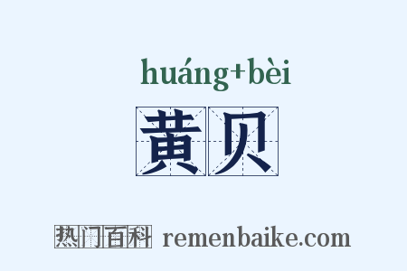 黄贝是什么意思的图片